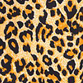 Sunrise Leopard